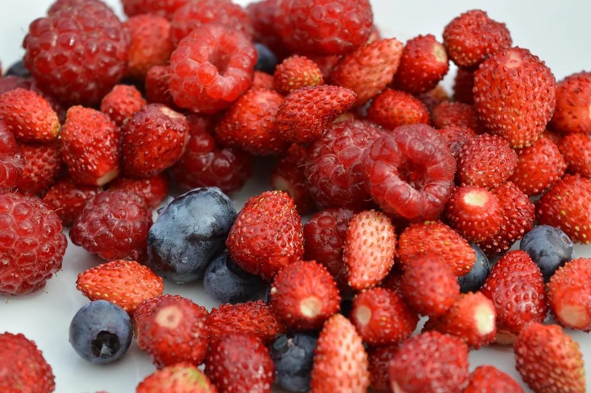 Seasonal Berry Care: Keeping Strawberries and Raspberries Fresh for Longer